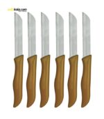 چاقو آشپزخانه مدل R34243 مجموعه 6 عددی | فروشگاه اینترنتی سفیرکالا